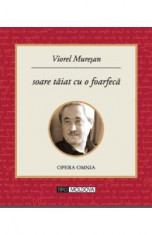 Soare taiat cu o foarfeca - Viorel Muresan foto