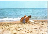 CPI (B4331) SOARE SI MARE, EDITURA SPORT-TURISM, NECIRCULATA, (9659)