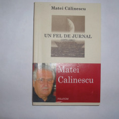 MATEI CALINESCU - UN FEL DE JURNAL (1973-1981),RF2/2