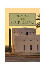 Stalpi de sare - Fadia Faqir foto