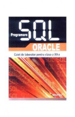 Programare sql Oracle caiet de laborator pentru cls 12 - Silca Ilici foto