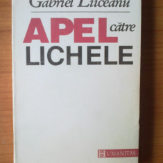 e2 Gabriel Liiceanu - Apel catre lichele