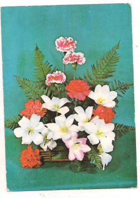 #carte postala(marca fixa)-FLORI-Garoafe foto