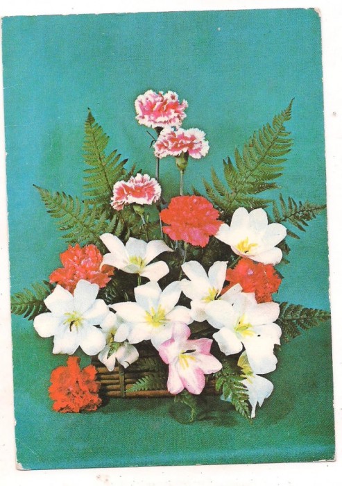 #carte postala(marca fixa)-FLORI-Garoafe