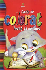 CARTE COLORAT INVAT SA DESENEZ/COLORAT 80-YGA00229 foto