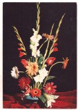 #carte postala(marca fixa)-FLORI