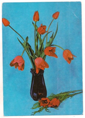 #carte postala(marca fixa)-FLORI-Lalele foto