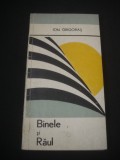 ION GRIGORAS - BINELE SI RAUL