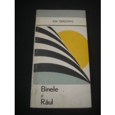 ION GRIGORAS - BINELE SI RAUL