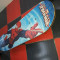 Skateboard Spiderman