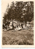 AMP12021 Cheile Bicazului, foto, 9x6 cm, 1946