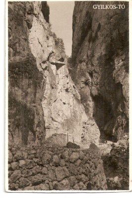 AMP12044 Cheile Bicazului, 1943 foto