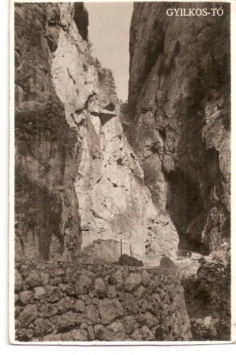 AMP12044 Cheile Bicazului, 1943