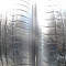 2 anvelope mixte Toyo Tranpath 235/60 R16. 100 ron bucata. Livrare gratuita!