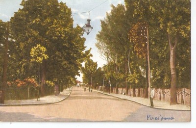 AMP12056 Pucioasa, 1926 foto