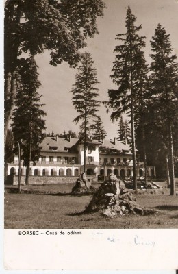 AMP237 Borsec, RPR foto