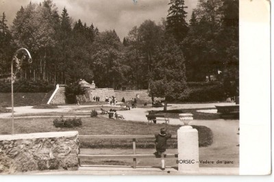 AMP199 Borsec, parc, RPR foto