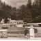 AMP199 Borsec, parc, RPR