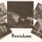 AMP306 Herculane, RPR