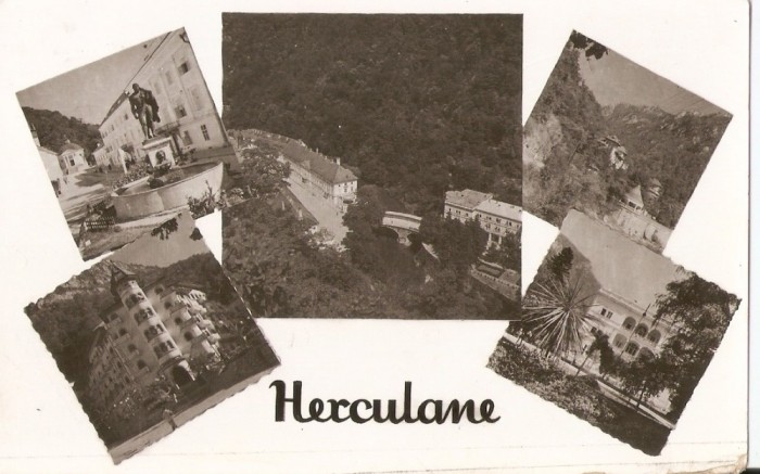 AMP306 Herculane, RPR