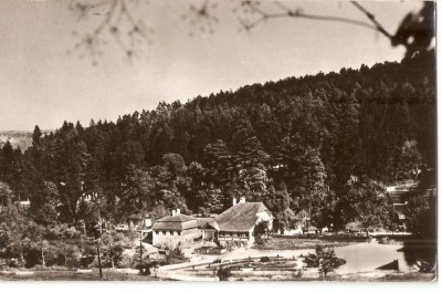 AMP278 Bazna, RPR foto