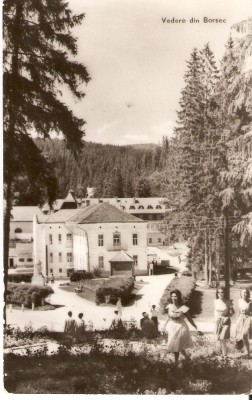 AMP233 Borsec, RPR foto