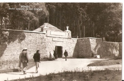 AMP207 Borsec, izvor, RPR foto