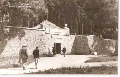 AMP206 Borsec, izvor, RPR foto