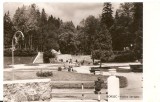 AMP198 Borsec, parc, RPR