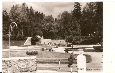 AMP198 Borsec, parc, RPR foto