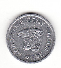 Seychelles 1 cent 1972 FAO - KM# 17 foto