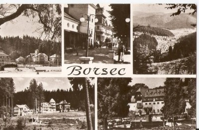 AMP298 Borsec, RPR foto