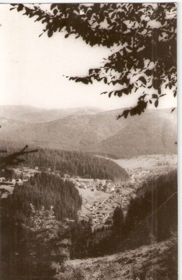 AMP226 Borsec, RPR foto