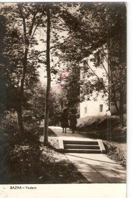 AMP289 Bazna, RPR foto