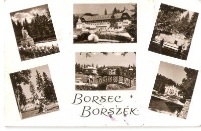 AMP291 Borsec, RPR foto