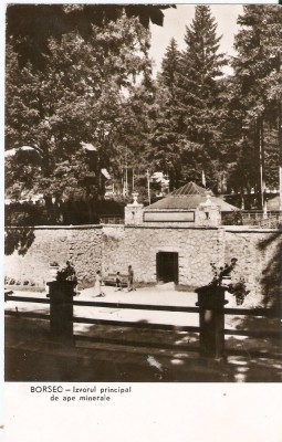 AMP239 Borsec, izvor, RPR foto