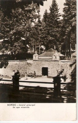 AMP240 Borsec, izvor, RPR foto