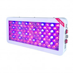 Lampa led 300 W grow foto