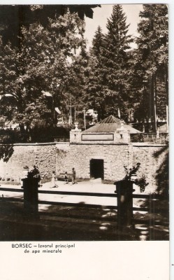 AMP238 Borsec, izvor, RPR foto