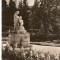 AMP335 Borsec, parc, RPR