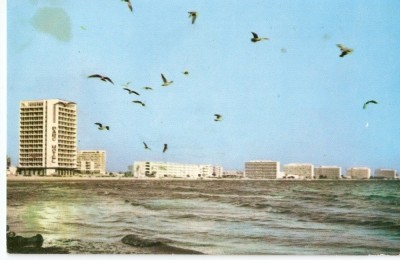 AMP2832 Mamaia, mare, pasari, RPR foto