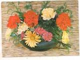 #carte postala(marca fixa)-FLORI-Garoafe
