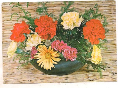 #carte postala(marca fixa)-FLORI-Garoafe foto