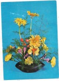 #carte postala(marca fixa)-FLORI
