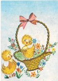#carte postala(marca fixa)-FELICITARE cu puisori