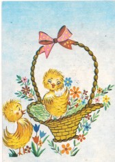 #carte postala(marca fixa)-FELICITARE cu puisori