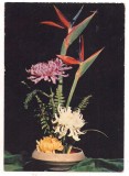 #carte postala(marca fixa)-FLORI-Garoafe
