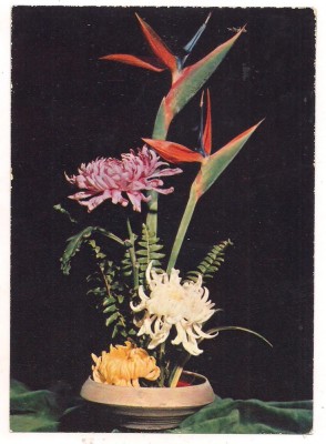 #carte postala(marca fixa)-FLORI-Garoafe foto