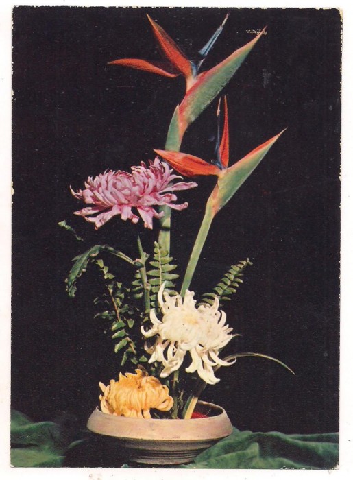 #carte postala(marca fixa)-FLORI-Garoafe