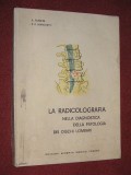 Radiologie - Diagnosticul patologiei discului lombar - A. Pansini, P.G. Marchetti (limba italiana)